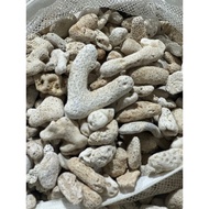 [READY STOCK IN SG] Aquarium Fish Tank Coral Chips