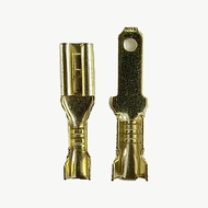Skun Kuningan female / Skun Gepeng Cewek / Skun Gepeng Female / Terminal Skun Gepeng