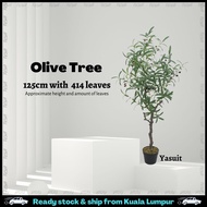 Pokok Viral Artificial Plant Skybird Fiddle Fig Olive Sky Bird Tree Raya Premium Quality Decoration 