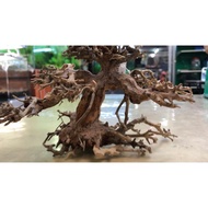 Bonsai Wood Nano Size (Aquascape)