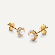 Aurum Lab 9K Gold Earrings - Gleam Pearl