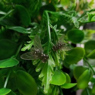 FCMY Fly Fishing Bait, Fly Soft Bait, Biomimetic Soft Plastic Bait FAC