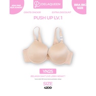 Delaqueen | Bra Jumbo Size Bra 42DD YN25