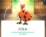 ✨伽勒爾三神鳥（火焰鳥、閃電鳥、急凍鳥) 非常稀有 🌟