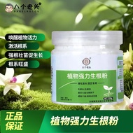 Fast Root Strong Seedling Agent Plant Universal Nutrient Solution Succulent Green Dill Flower Cuttin