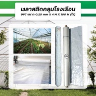 ENVI-GREEN ผ้าพลาสติกโรงเรือน UV7 4X100M. 200ไมครอน สีใส