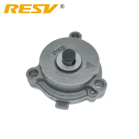 RESV for Suzuki Wangjiang GN250 DR250 TU250 GZ250 MARAUDER DR GN TU GZ 250 250CC 1982-2017 16400-382