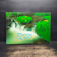 Beautiful Life Volume 3 ️1115135