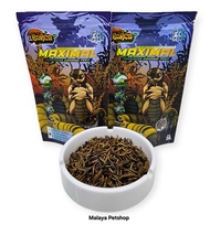 Ulhong Barca 30gram (Ulat Hongkong keluaran EL Barca)(Mealworm)(Best supplement with organic formula)(Makanan Ikan Channa Maru, Pulchra)