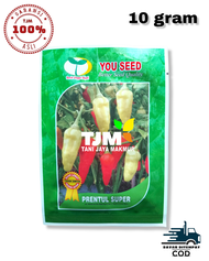 PRENTUL SUPER 10 GRAM/CABE RAWIT PRENTUL GS Prentul F1 isi10 gram cabe rawit putih/cabe rawit prentul benih cabe rawit prentul f1 bibit cabe prentul f1 benih cabe rawit unggul bibit cabe rawit inul bibit cabe rawit cabai rawit prentul bibit cabe cabai raw