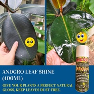 ANDGRO Leaf Shine (400ml) Plant-Friendly Leaf Gloss Spray for Vibrant, Healthy Leaves with Natural S