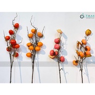 [MID-AUTUMN - WITH EXPRESS] High quality realistic persimmon branches 5-8 fruits F-CTR.G-01