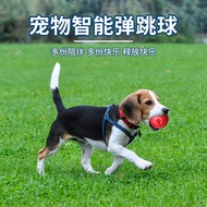 Smart Large Dog Toy Ball Dog Chase Toy Dog Teasing Bite-Resistant Electric Dog Walking Ball Automati