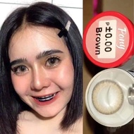 pony brown ตาหวานฉ่ำลายขายดี ลายฮิตคละยี่ห้อ