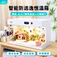 Pet Snake Breeding Box Snake Tank Landscaping Incubator Climbing Cabinet Constant Temperature Box Su