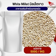 White millet มิลเล็ตขาว อาหารนก กระต่าย หนู กระต่าย กระรอก ชูก้า และสัตว์ฟันแทะ อาหารสัตว์สำหรับสัตว์เลี้ยง (แบ่งขาย 500G / 1KG)