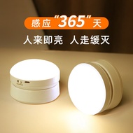 Reading Light Sleep Light Night Light Aisle Light Sensor Light Start Night Household Aisle Cabinet L
