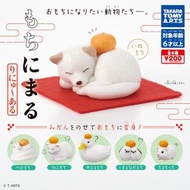T-ARTS 扭蛋 鏡餅動物 日本新年 鏡餅 動物