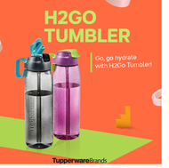 Tupperware H2Go Tumbler 750ml with Straw