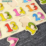 JEROMYBF Puzzle Hand Grab Board, Montessori 3D Wooden Puzzle Toys, Cognitive Jigsaw Wooden Early Edu