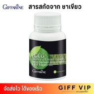 กิฟฟารีน ชาเขียวสกัด เผาผลาญไขมัน ลดคอเลสเตอรอล อีจีซีจี (30 แคปซูล) Giffarine EGCG