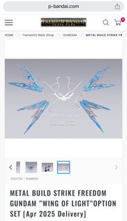 METAL BUILD STRIKE FREEDOM GUNDAM ”WING OF LIGHT”OPTION SET
