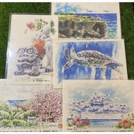 日本沖繩手繪風明信片 5張 送防塵套 免運