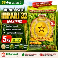 Benih padi Inpari 32 Maxipro original kemasan 5kg kualitas unggul mudah beradaptasi hasil panen meli
