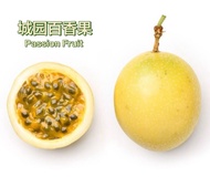 Buy 5kg @ RM80 or RM16/kg (Mixed Size) Buah Markisa Emas Panama Passion Fruit Panama Golden Rose 100