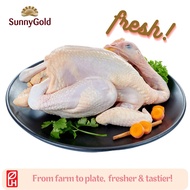 SunnyGold Fresh Whole Chicken (Kampong) | 0.9-1.1kg [Fresh]