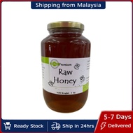 Zens Organic Premium Natural Raw Honey 1kg