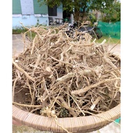 500gr ORGANIC CAGAI ROOTS, cools the liver, very good for the liver. CREEPY CAGANIC ROOTS 3 TIMES GO