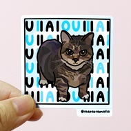 (SG) "uiiaiouiiiai" cat meme waterproof vinyl sticker