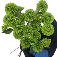 DAHLIA K3 FLOWER DECORATIVE FLOWERS FAKE DAHLIA FLOWERS Artificial Dahlia