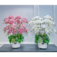 Rubber Phalaenopsis orchid branches - Small Phalaenopsis 2 branches for beautiful decor