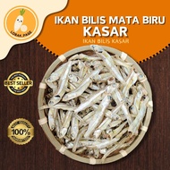 Ikan bilis mata biru / ikan bilis kasar / bilis mata biru