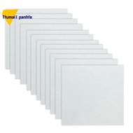 12 Sheets 10mil  Sheet 12 X 12 Inch Milky Translucent PET Blank Stencil Making Sheet  (10mil)