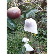 --- 50 bags of fruit (guava, star apple, orange, custard apple, ....) KT 16x18 cm, quality, cheap pr