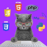 Website Programming Service | HTML CSS PHP Java Python Coding