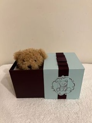 Kaloo啤啤熊 (全新)