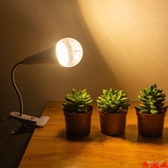 Globe Plant Lamp Imitation Sunlight Pitaya Chrysanthemum Strawberry Seedling Orchid Flower Green Plant Fill Light Chines