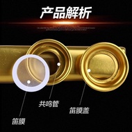 Kazoo instrument playing kazoo flute kazoo flute w Kazoo Flute Musical instrument playing kazoo Flut