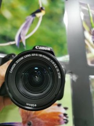 Canon 200D + 18-55mm Kit