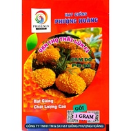 Dwarf Thai Marigold Flower PH46 Red Orange Phoenix Seeds