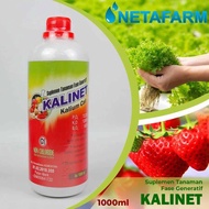 pupuk kalinet pupuk cair pemanis buah