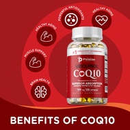 CoQ10 100 mg, Fast Absorption, Water and Fat Soluble CoQ10 Natural Supplement, 120 Softgels