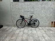 Trek Domane AL 2 Road Bike