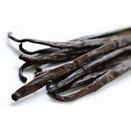 PREMIUM VANILLA BEANS /VANILLA POD [TAHITIAN - INDONESIA]
