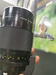 Nikon 500mm f8 reflex 反射鏡 影荷花 波波鏡
