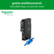 Schneider เซอร์กิตเบรกเกอร์ลูกย่อย กันดูด ป้องกันไฟรั่ว/ไฟดูด ชนิด 1 โพล ขนาด 16A 6kA 30mA รหัส QO11
